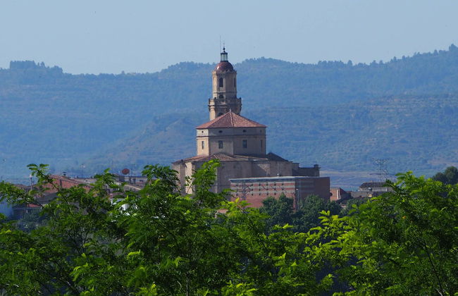 Borjas Blancas Guided Tour - Photo 1