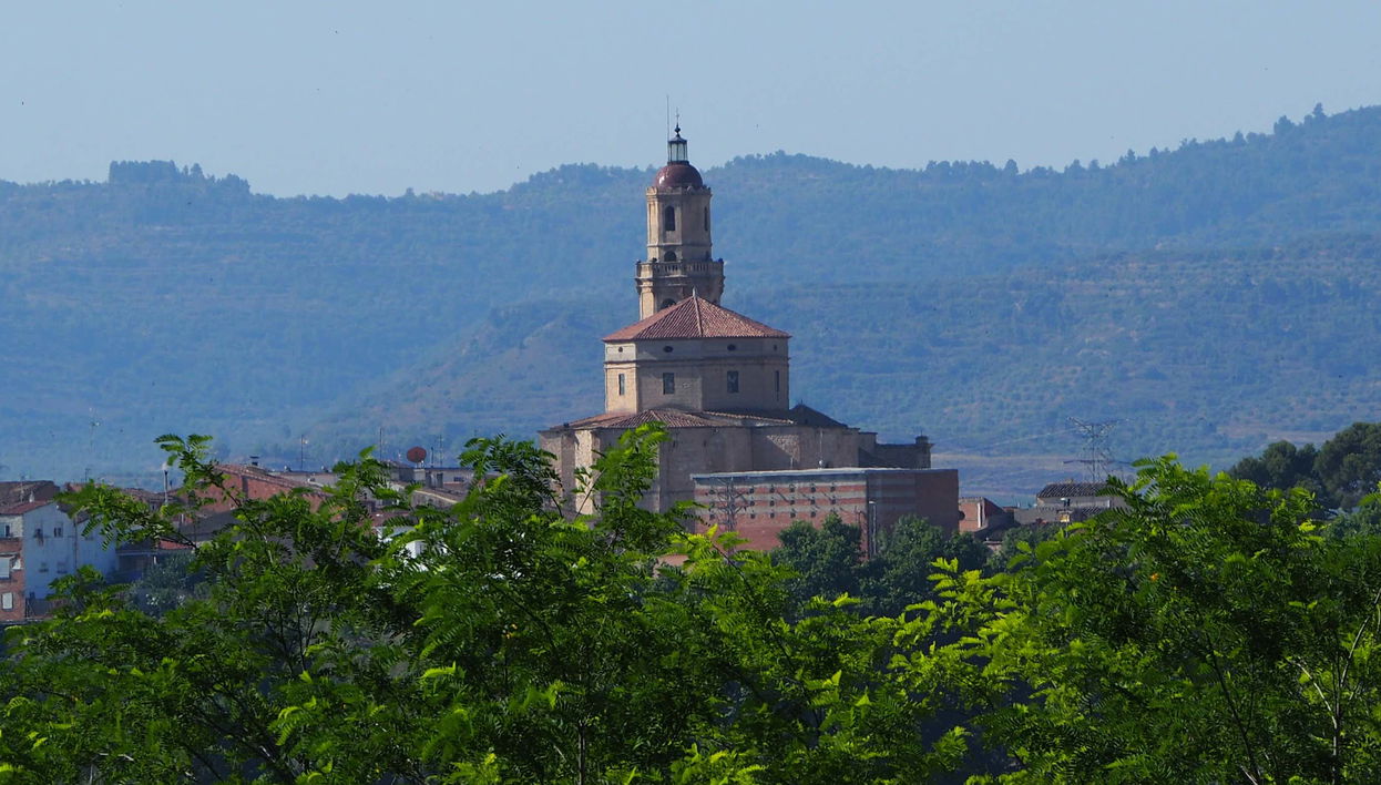 Borjas Blancas Guided Tour