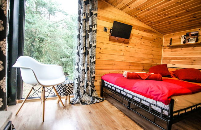 Cottage in Dlugosiodlo Near Forest Edge - Photo 8