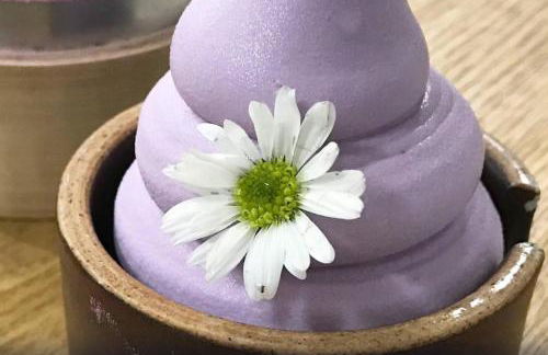 Magnolia Apt - Foto 29