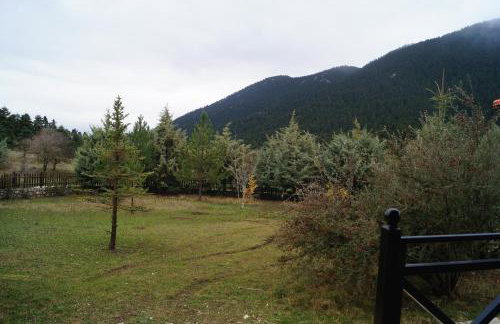 Parnassos Chalets - Foto 61