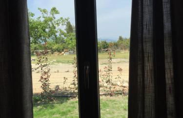 Maison Corse - Foto 26