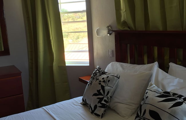 La Heliconia - Foto 6