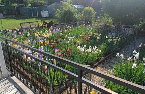 Le jardin aux iris - Foto 3