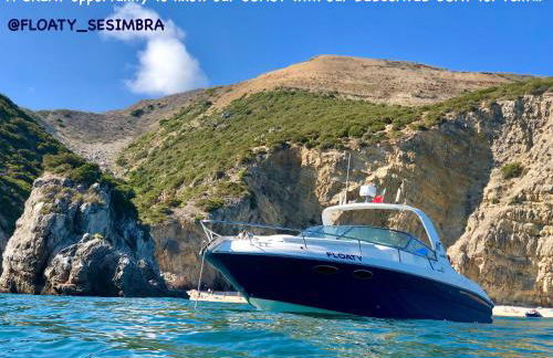 Romã do Meco - Foto 9