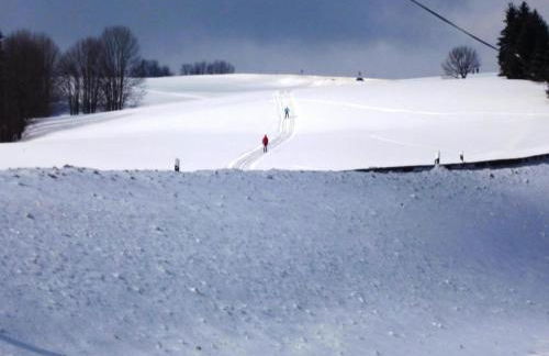 Wohnung in Sonnen nahe Skiliften - Foto 35