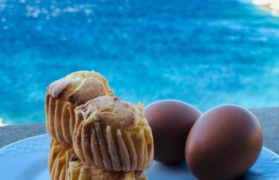 Archipelagotinos - Foto 14