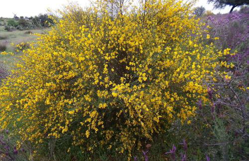 Los Montejos & Spa - Foto 44