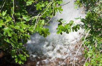 Molino La Ratonera - Foto 30