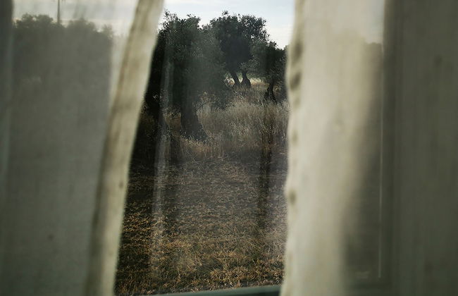 Quinta do Louredo - Photo 59