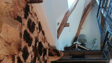 Gîte des Lilas - Photo 5