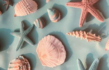 Casa Vittorina - Foto 36