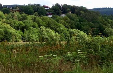 Ferienhaus im Ederbergland - Foto 31