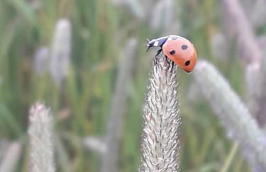 Incheoch Farm Granary - Foto 21