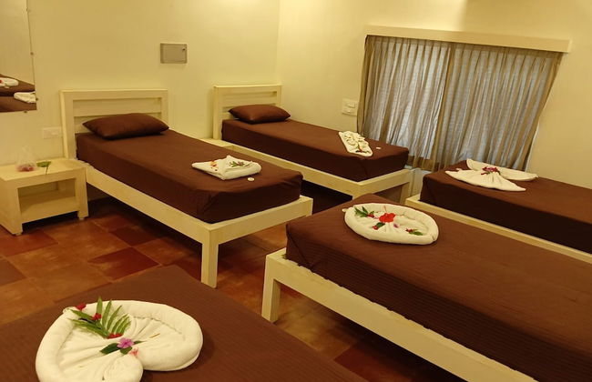 Bamboo Nest - Foto 2