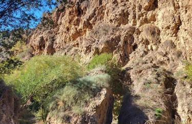 Casa Blanca, Acequias, Lecrin valley, Granada - Foto 38