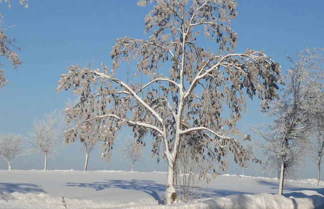 Hill-view Holiday Home in Dankerode Near Lake and Hiking - Foto 47