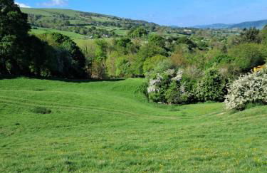 Parrs cottage - Foto 11