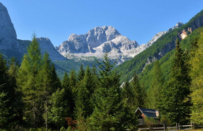 Pool Villa Katja Kranjska Gora - Foto 28