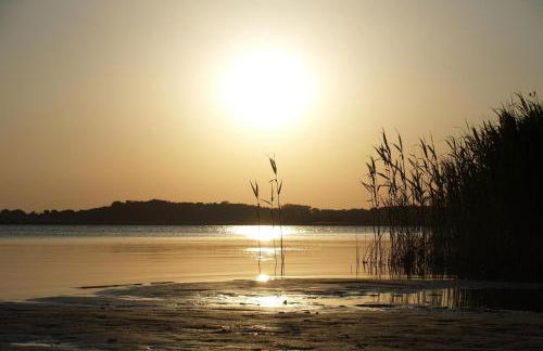 Ferienhaus VINETA Schneckenhus LODDIN - Foto 14