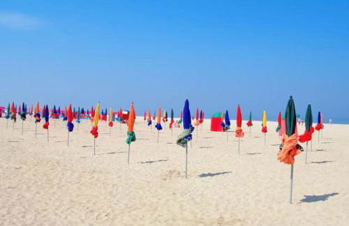 Le jardin de Deauville - Photo 7