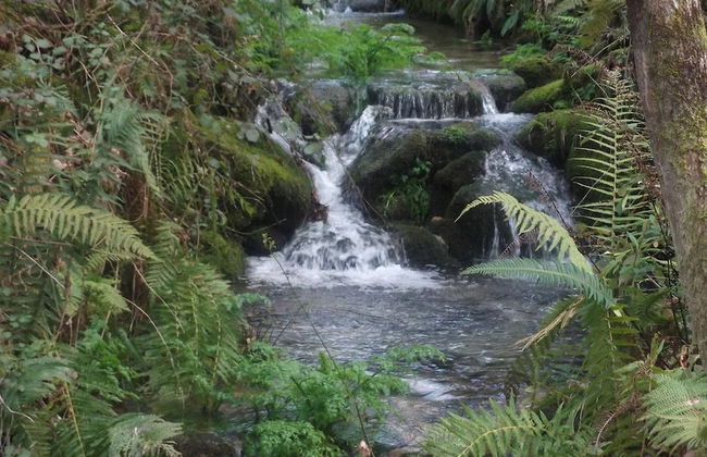 Quinta dos Caibrais - Photo 23