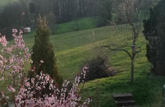 Himmelthal Apartment - Foto 15