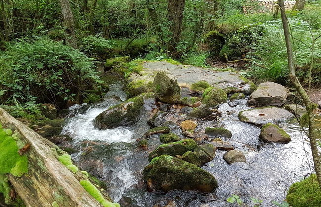 Alojamientos Rurales Valle de Bueida - Foto 72