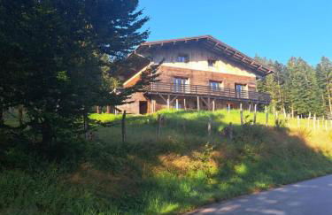 Chalet Le Belvédère, vue exceptionnelle dans les Hautes Vosges - Foto 2