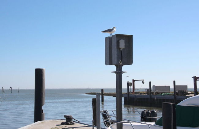 Holiday Bungalow in Dornumersiel - Foto 16