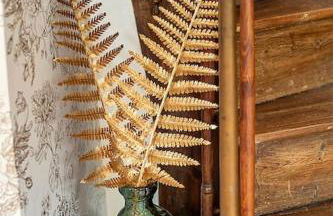 Gite Les rives du Dun - Foto 6