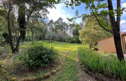 Quinta da Mata de Baixo - Foto 8