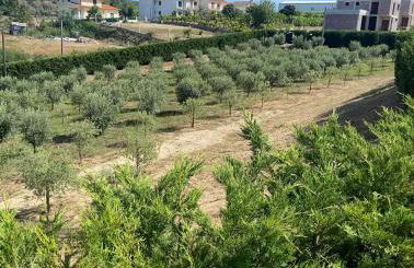 Quinta da Cortelhinha Turismo Rural - Foto 14