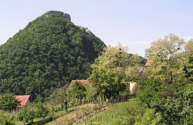 Country House Etno Kuca pod Okicem - Photo 14