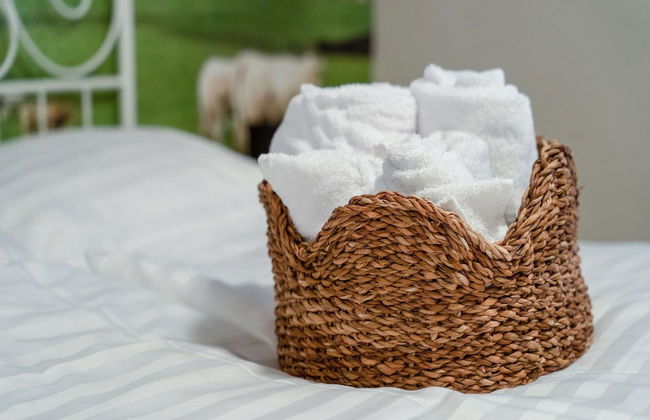 Pet-friendly Country Escape - Photo 27