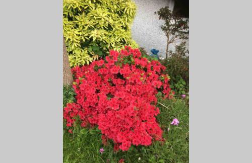 Lovely 3 Bed House Close to Carlyon Bay Beach! - Foto 17