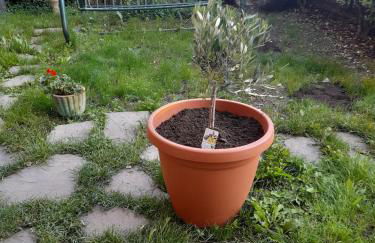 La Vista Sul Castello - Photo 31