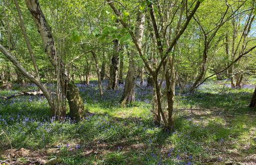 Nettlebed Farm Holiday Lets Barn3 - Photo 4