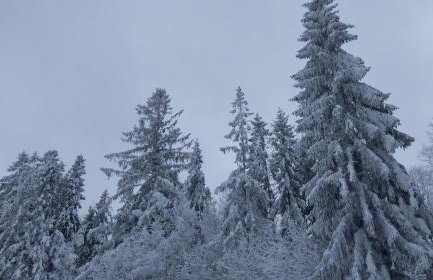 Góralski domek na szczycie - Foto 13
