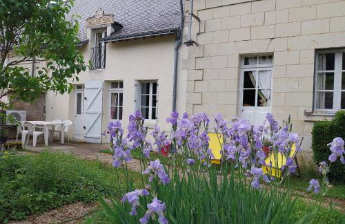 Au cœur des châteaux et des vignobles de la Loire - Foto 15