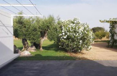 Casa do Vale da Terra Negra - Foto 5