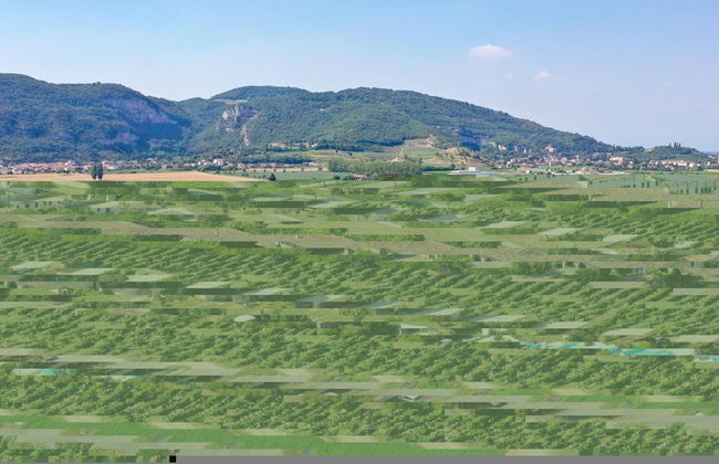 Tigli Apartment With two Bedrooms and one Bathroom on the Second Floor With 4 Metre Glass Window Apartment 6 - Photo 5