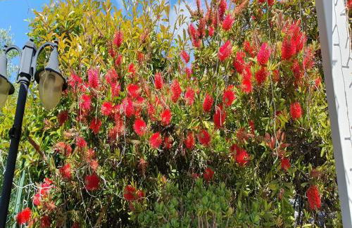 Apartment in einer Villla mit Pool - Foto 18