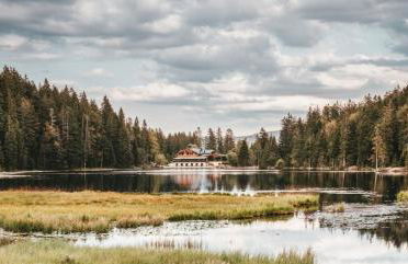 Ferienwohnung am Seebach´l - Foto 10