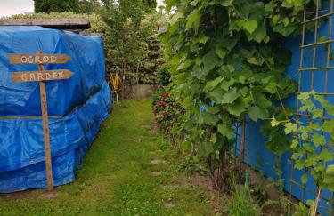 Agroturystyka Jagoda - Photo 7