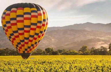 River View Lodge - Hot Tub And Tastings Included - Foto 32