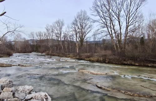 Don Divino - Foto 33