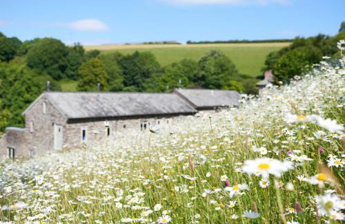 Meavy Cottage - Foto 11