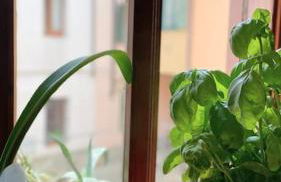 Charmantes Altstadthaus mit Dachterrasse - Foto 29