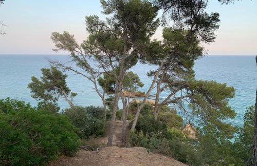 Villa natura 20 km de las playas - Foto 34